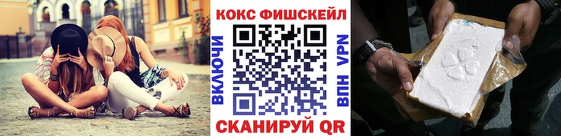 дарнет шоп  kraken зеркало  COCAIN Fish Scale  Оса 