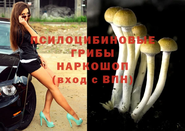тгк Бородино