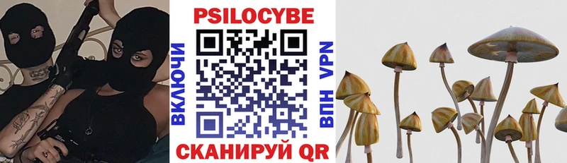 Галлюциногенные грибы ЛСД  Оса 